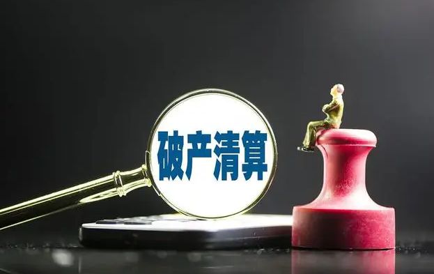 宜賓三家公司步入破產清算程序 專業服務護航市場出清